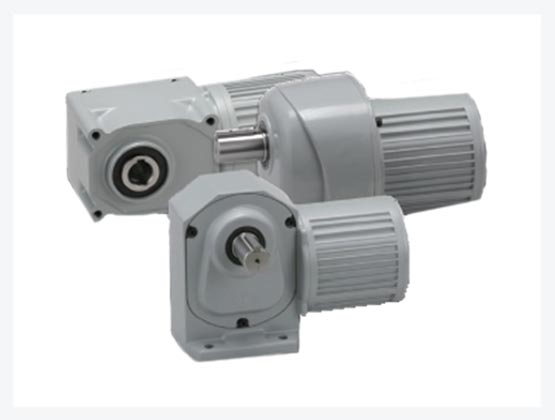 Brother Gearmotors